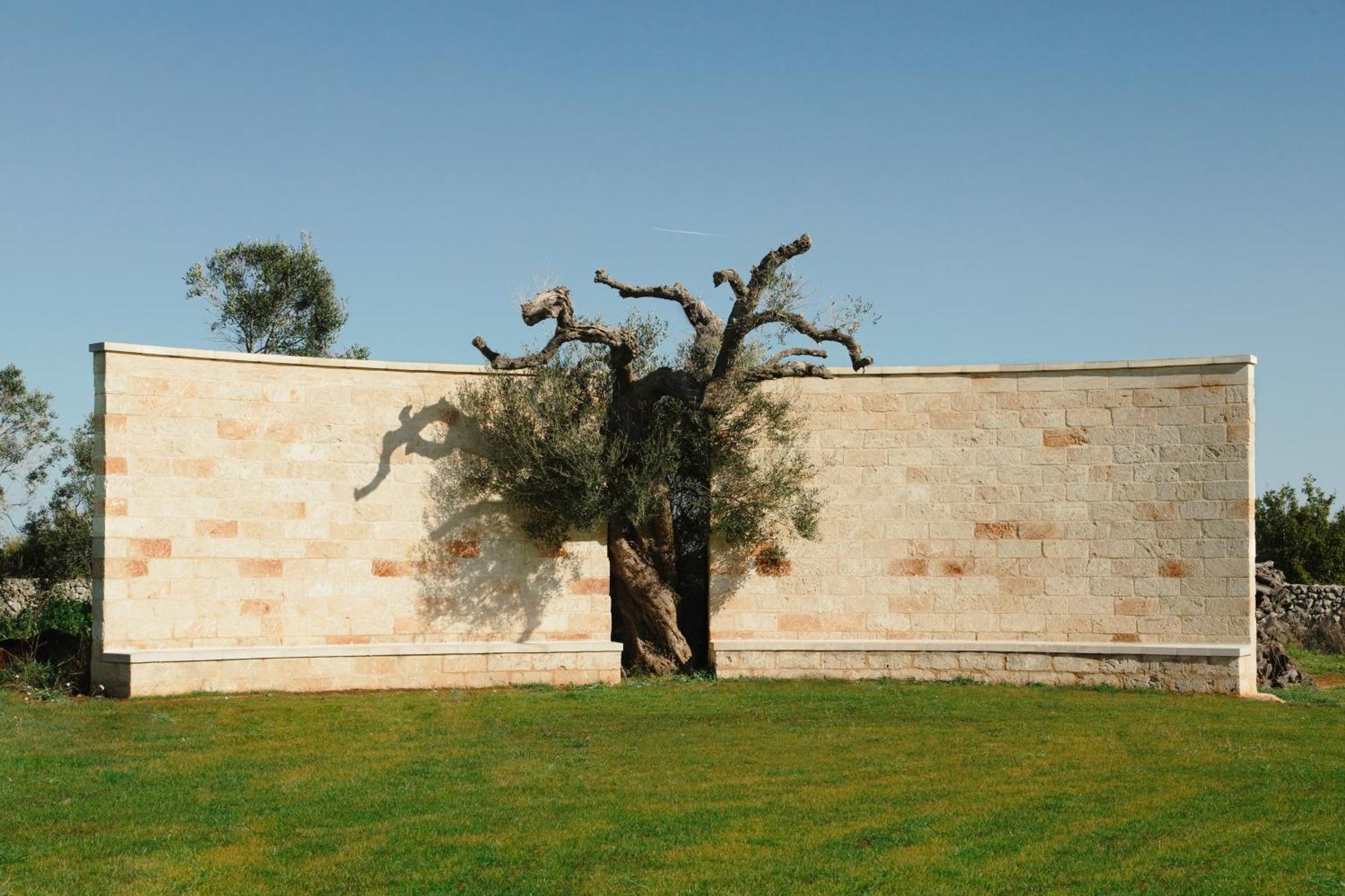 Secolario Masseria Del Viverbene Palmariggi 外观 照片