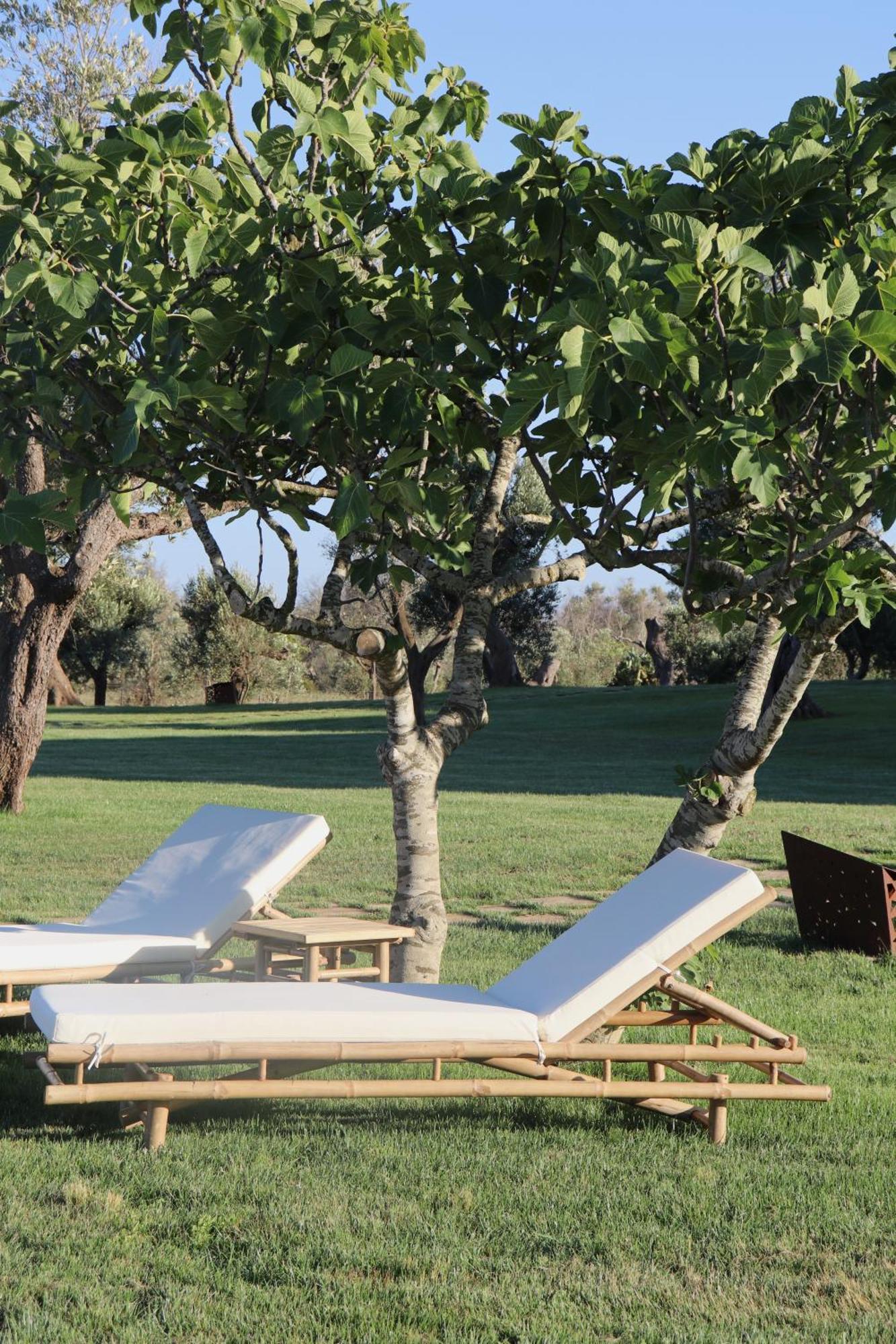 Secolario Masseria Del Viverbene Palmariggi 外观 照片