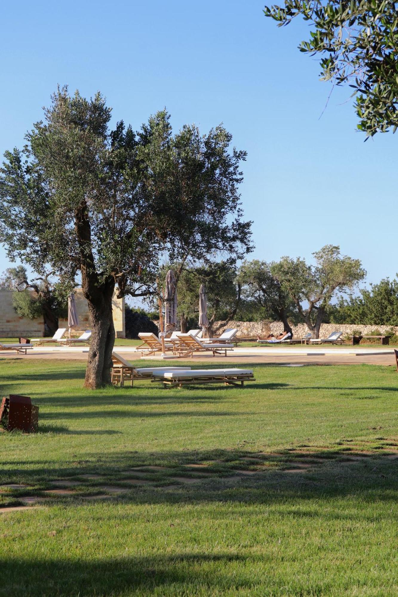 Secolario Masseria Del Viverbene Palmariggi 外观 照片